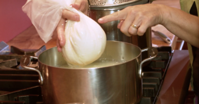Make Cheese With Paula – Mozzarella and Bocconcini Make Cheese With Paula – Mozzarella and Bocconcini