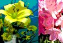Creative Saturdays: Still Life Florals