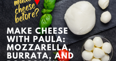 Start here! Make Cheese With Paula – Mozzarella and Bocconcini