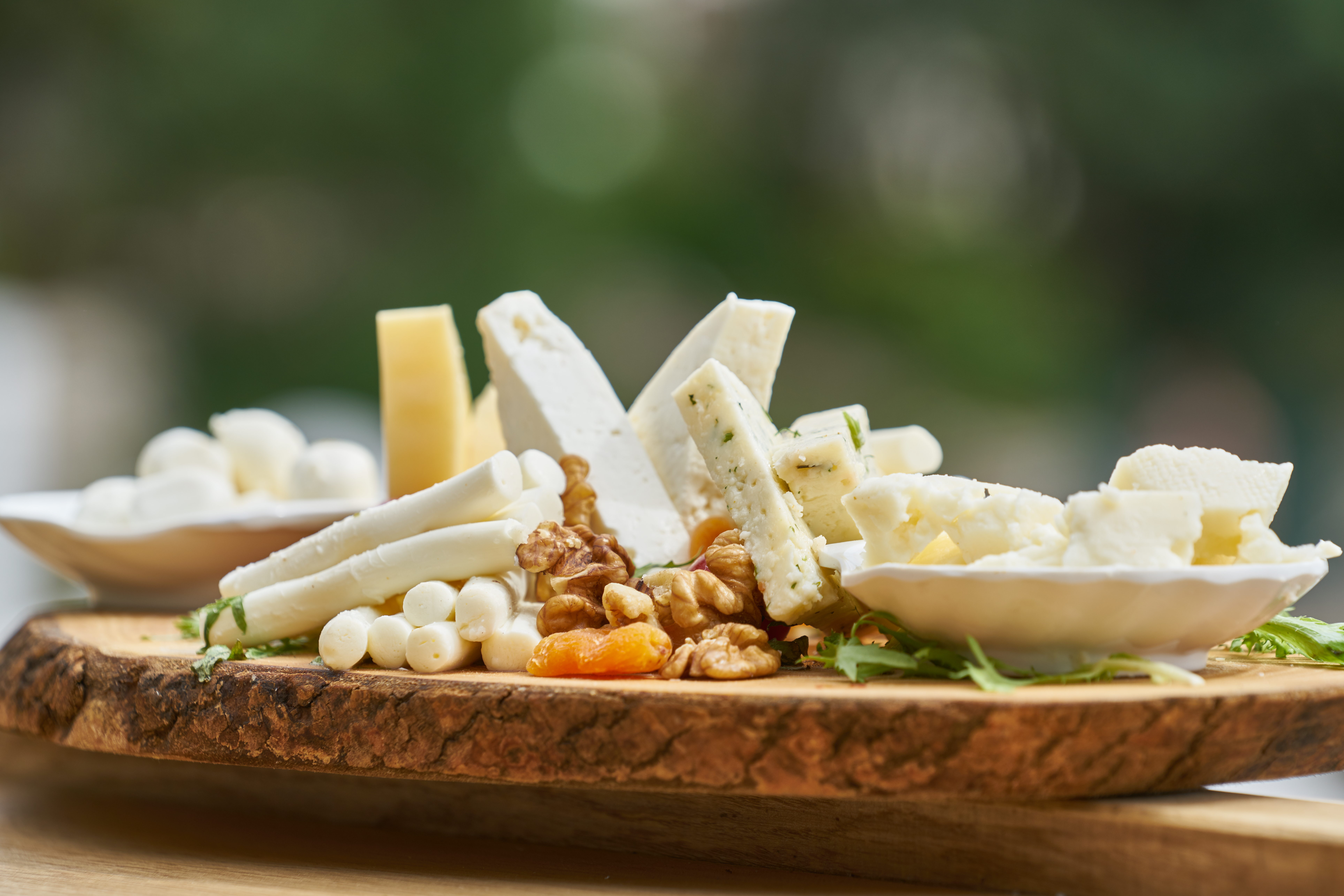 Make Cheese with Paula – Cheese Making 101 – Paneer, Queso Blanco and whole milk Ricotta