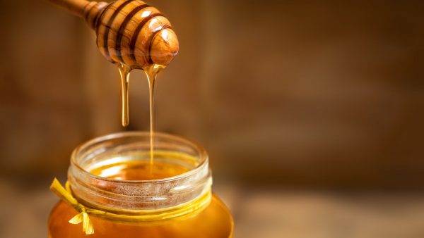 Introduction to Beekeeping - Image 6
