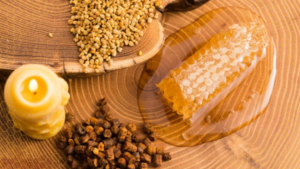 Tasting Your Way Through The Hive - A Sweet Adventure!