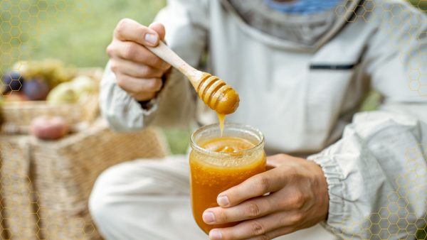 Tasting Your Way Through The Hive - A Sweet Adventure! - Image 3